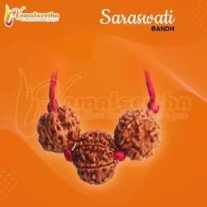 Recommendation of Rudraksha Individual beads