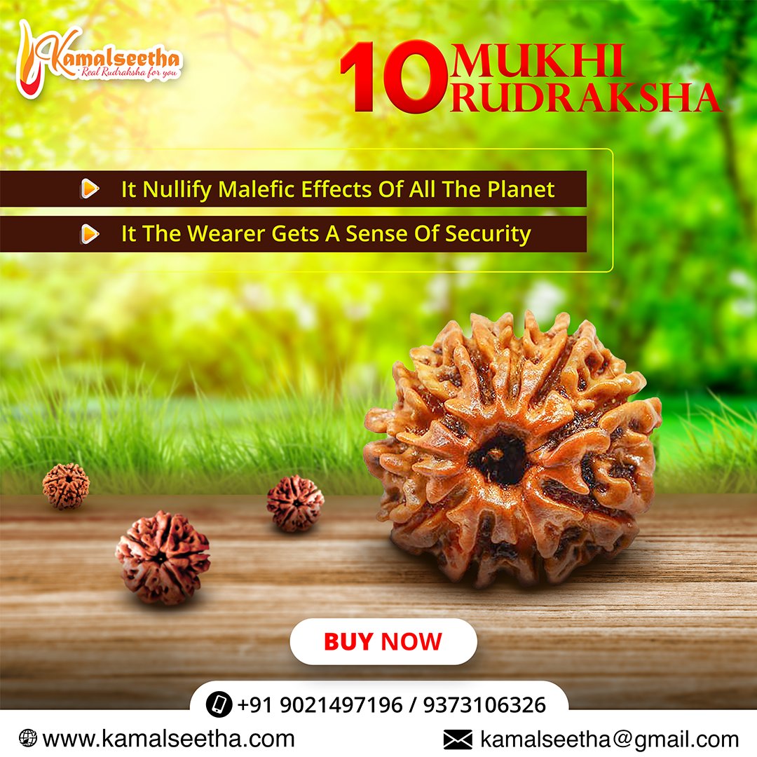 10 mukhi rudraksha